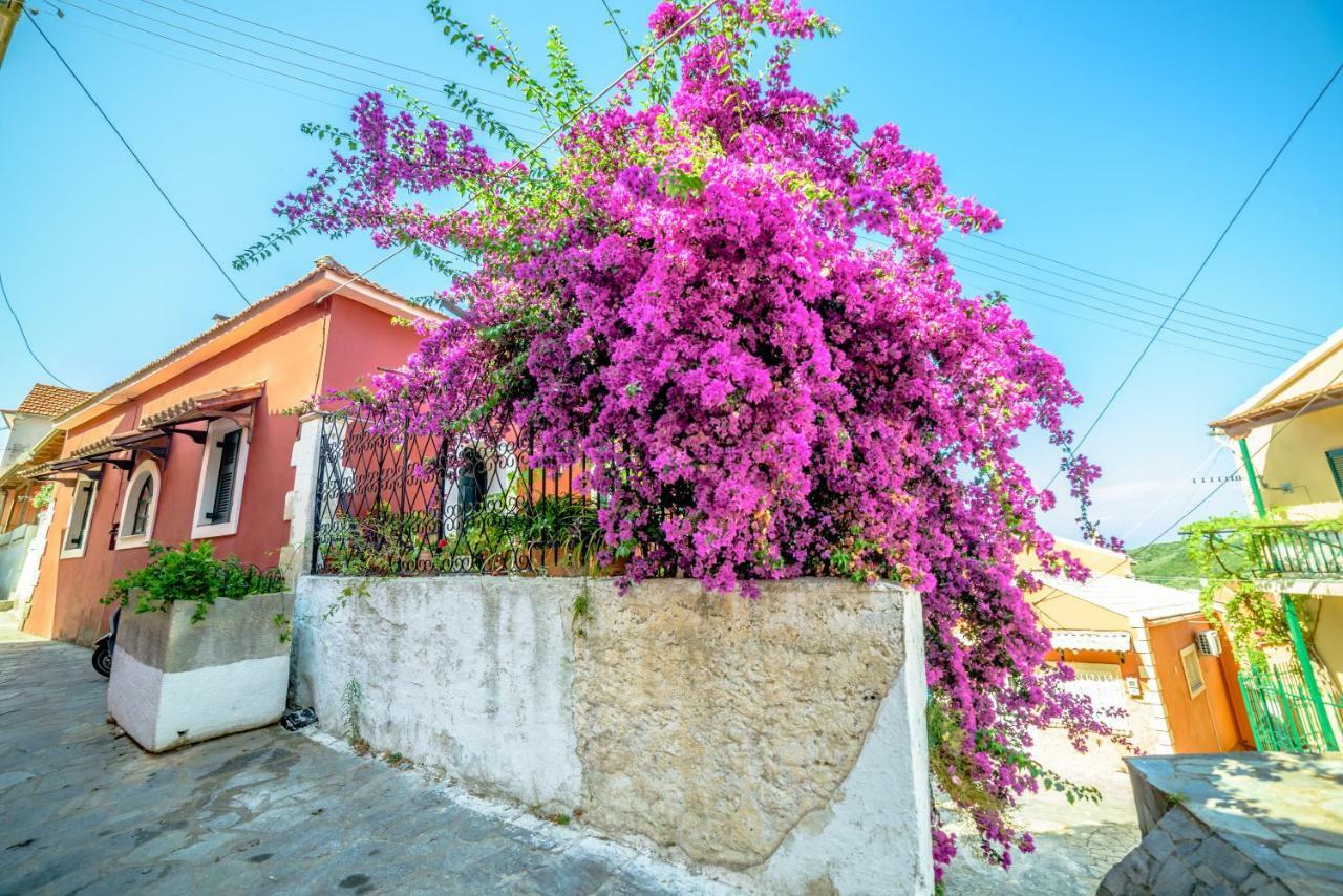 Menecrates Rustic - San Matteo Apartment Agios Matthaios  Luaran gambar